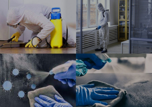 Як розпочати бізнес з надання послуг з дезінфекції